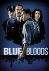 blue bloods 2 netflix dk