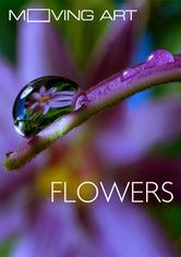 Moving Art: Flowers Se Moving Art: Flowers på Netflix