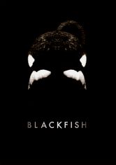 Blackfish Se Blackfish på Netflix