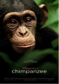 chimpanzee netflix