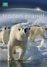 Frozen Planet på Netflix