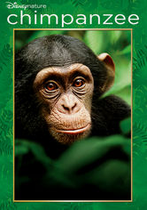 chimpanzee disney film netflix