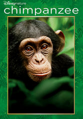 Chimpanzee Se Chimpanzee på Netflix