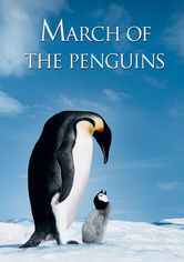 March of the Penguins (Pingvinmarchen) Se March of the Penguins (Pingvinmarchen) på Netflix