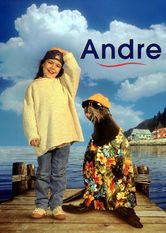 Andre Se Andre på Netflix
