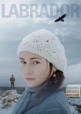 Labrador Labrador på Netflix