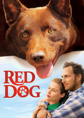 Red Dog Se Red Dog på Netflix