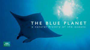 The-Blue-Planet netflix