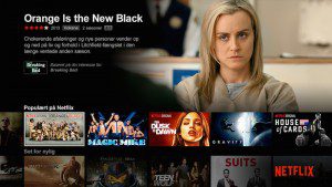 netflix big data danmark
