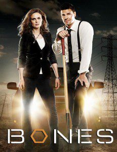 Bones sæson 10 netflix dk