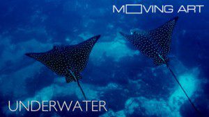 Moving Art: Underwater