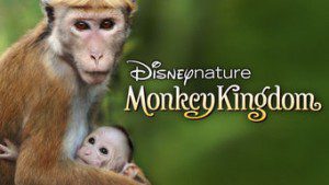 Monkey Kingdom