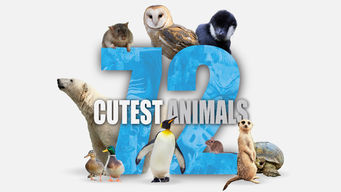 72 Cutest Animals 72 Cutest Animals på Netflix