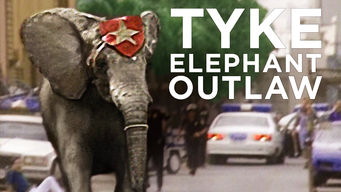 Tyke Elephant Outlaw Se Tyke Elephant Outlaw på Netflix
