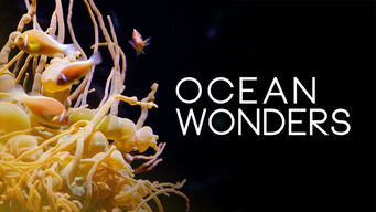 Ocean Wonders Ocean Wonders på Netflix