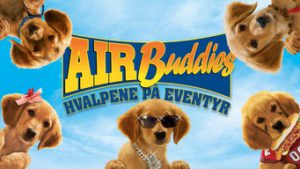 Air Buddies