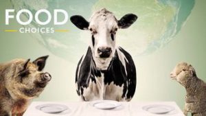 Food Choices