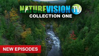 NatureVision TV Se NatureVision TV på Netflix