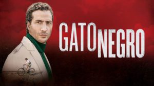 Gato Negro