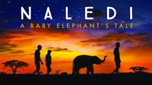 Naledi: A Baby Elephant’s Tale