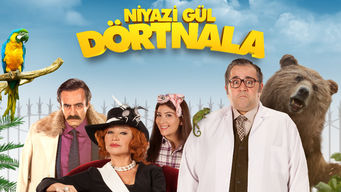 Niyazi Gül Dörtnala Niyazi Gül Dörtnala på Netflix