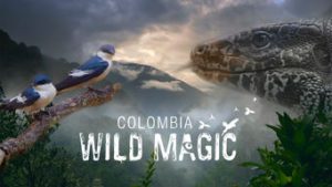 Colombia: Wild Magic
