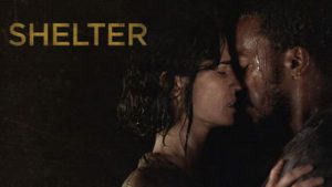 Shelter
