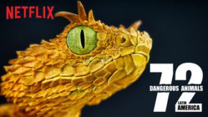 72 Dangerous Animals: Latin America