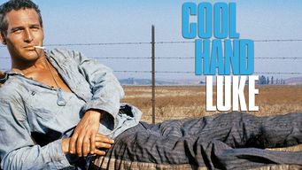 Cool Hand Luke Se Cool Hand Luke på Netflix