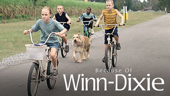 Because of Winn-Dixie Se Because of Winn-Dixie på Netflix