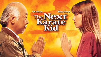 The Next Karate Kid The Next Karate Kid på Netflix