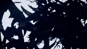 Nye anime-serier fra Netflix