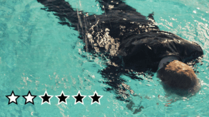 Anmeldelse: ‘Welcome to the Family’ – sæson 1