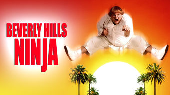 Beverly Hills Ninja Beverly Hills Ninja på Netflix