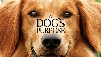 A Dog’s Purpose Se A Dog’s Purpose på Netflix