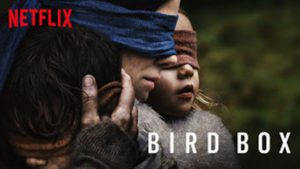 bird box