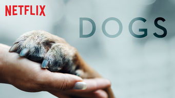 Dogs Se Dogs på Netflix