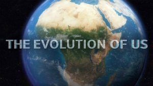The Evolution Of Us