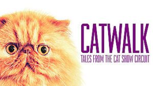 Catwalk: Tales from the Cat Show Circuit