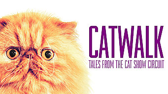 Catwalk: Tales from the Cat Show Circuit Se Catwalk: Tales from the Cat Show Circuit på Netflix