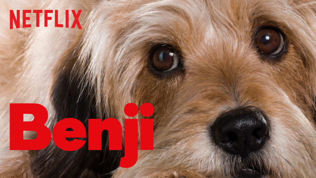benji hund film