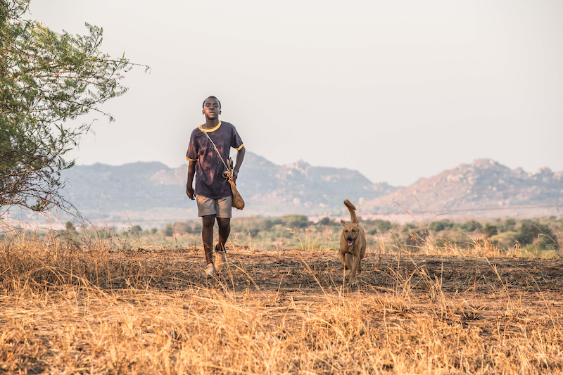 the boy who harnessed the wind 2