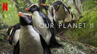 Our Planet Our Planet på Netflix
