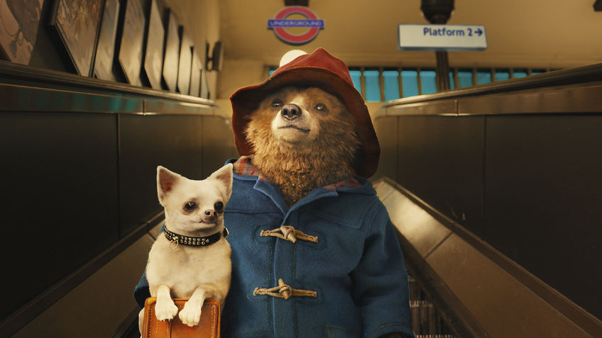 paddington