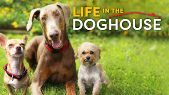 Life in the Doghouse Se Life in the Doghouse på Netflix