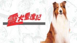 The Magic of Lassie