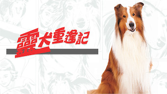 The Magic of Lassie Se The Magic of Lassie på Netflix