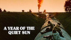 A Year of the Quiet Sun