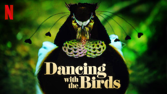 Dancing with the Birds Dancing with the Birds på Netflix