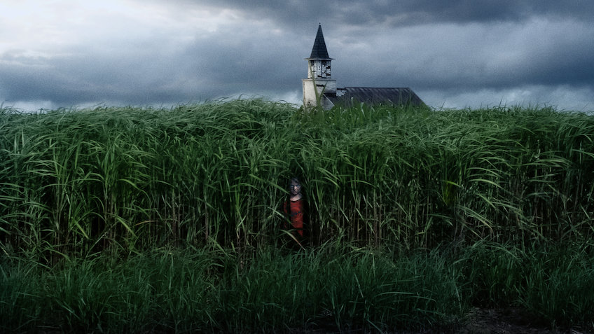 In the Tall Grass film